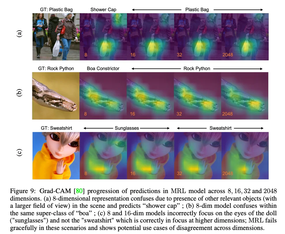 Mapas de calor Grad-CAM para tres imágenes de ImageNet a distintas granularidades MRL (8, 16, 32, 64, 128, 256, 512, 1024, 2048 dimensiones)